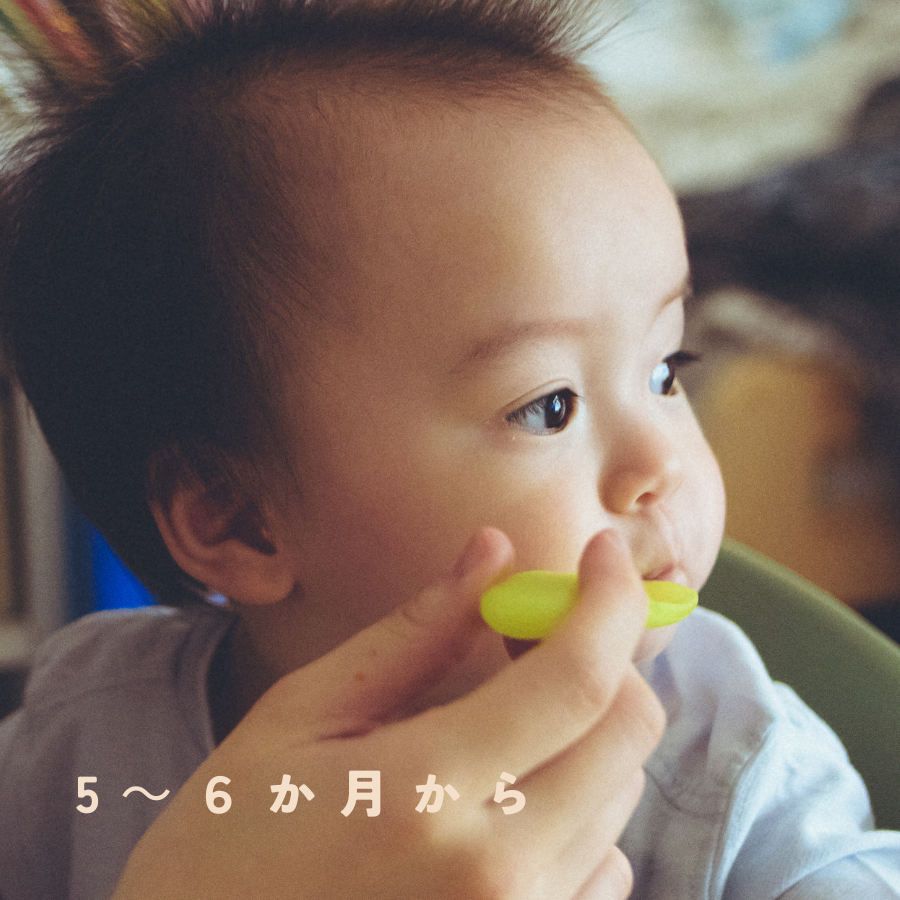 （離乳食セット）九州野菜とお魚ピューレ10食分